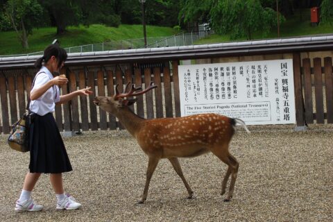 Nara