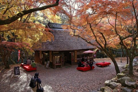 春日大社本殿西の水谷茶屋, 奈良県奈良市