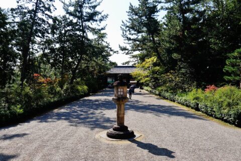 Toshodai-ji & Yakushi-ji: Inner Courtyard of the Toshodai Temple, Nara, Prefecture of Nara, Region of Kinki, Japan