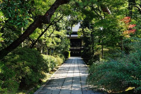 Toshodai-ji & Yakushi-ji: Inner Courtyard of the Toshodai Temple, Nara, Prefecture of Nara, Region of Kinki, Japan