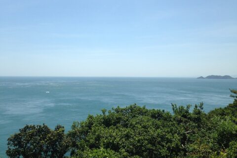 鳴門公園のお茶園展望台付近より望む鳴門海峡