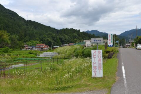 ​本巣市根尾水鳥地内にある根尾谷断層の断層崖。