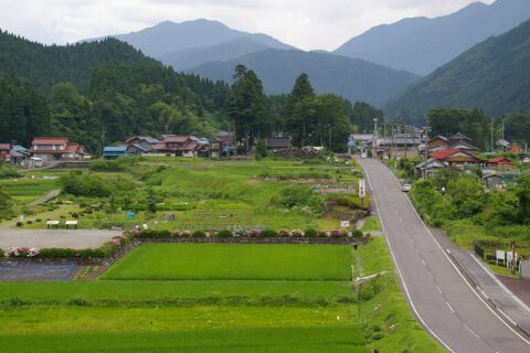 岐阜県本巣市にある根尾谷断層。写真中央を斜めに走る段差が根尾谷断層である。小藤文次郎(1893)による地震発生直後の写真と比較すべし。