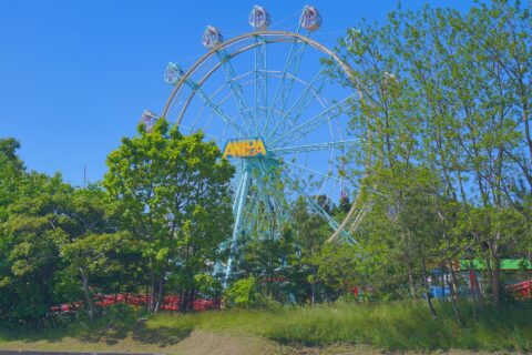 2023年4月30日にデビューした大森山ゆうえんち「アニパ」の観覧車。福岡市にある西鉄かしいかえんの閉園に伴い経年の浅い観覧車が秋田市に移築された。愛称はフルール。