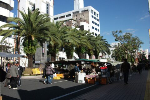 日本最大級とされる日曜市