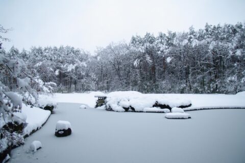 ​冬の日本庭園