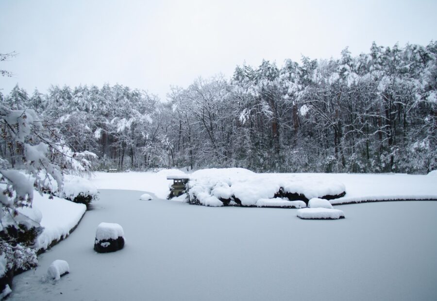 Musashi Kyuryo National Government Park, Saitama