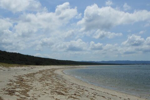 佐賀県唐津市浜玉町の浜崎海岸から見た虹の松原。