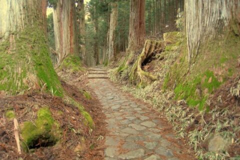 Path to Takino Shrine, Nikko, Tochigi, Japan. Midwinter view.