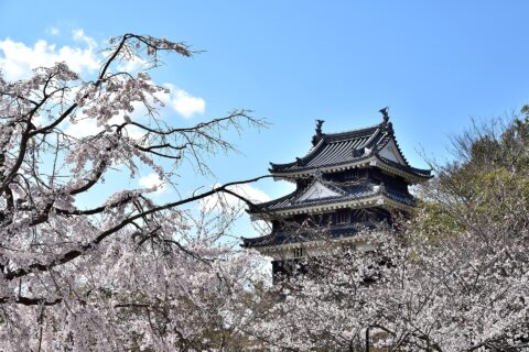 西尾城本丸丑寅櫓