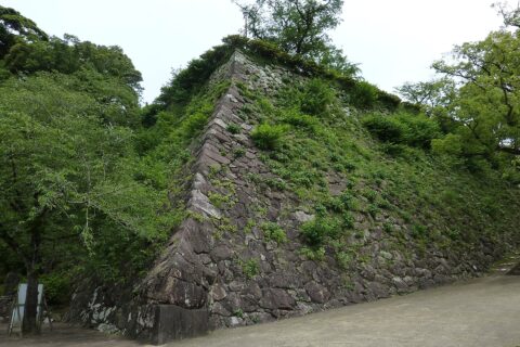 Nobeoka Castle Ruins: Nobeoka Castle - Stone Wall ( Nobeoka City , Miyazaki, Japan)