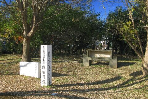 野田貝塚（千葉県野田市）