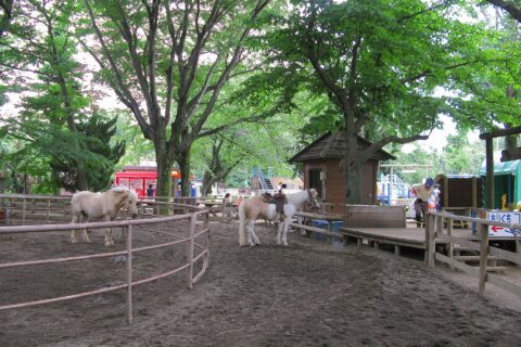 清水公園 ポニー牧場 グリーンフィールド（千葉県野田市）