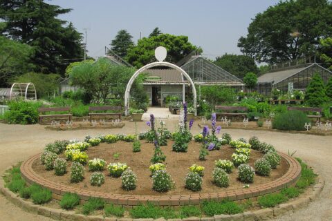 清水公園のハーブガーデン（千葉県野田市）