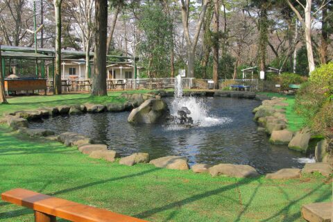清水公園 マス釣り場（千葉県野田市）