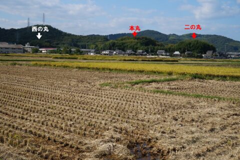 View of Kameyama castle