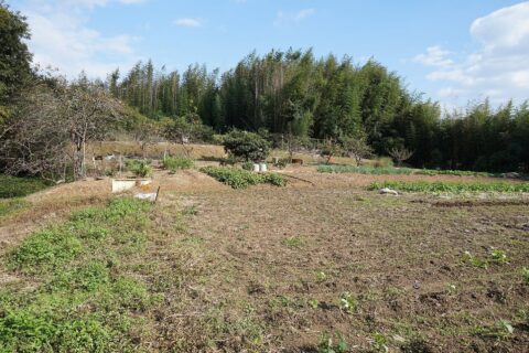 Ni-no-maru site, Kameyama castle