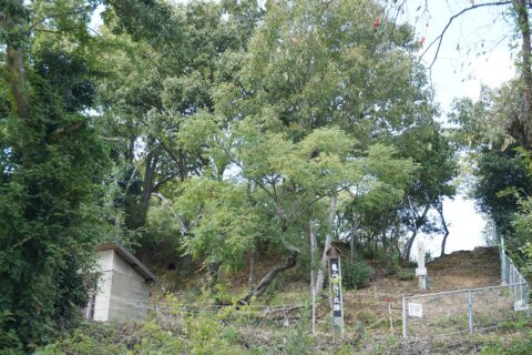 Nishi-mo-maru, Kameyama castle