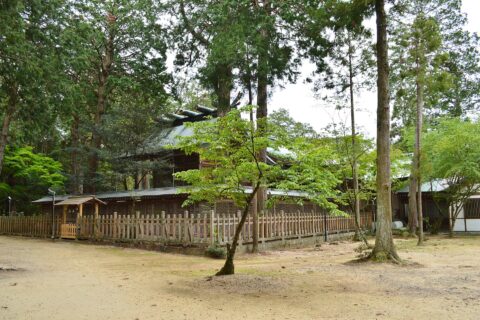 ​大麻比古神社 本殿