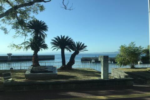 国道57号・251号のバス車内より望む橘湾と小浜温泉街