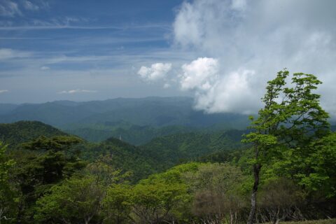 大台ケ原山頂の日出ヶ岳から北に台高山脈を望む。