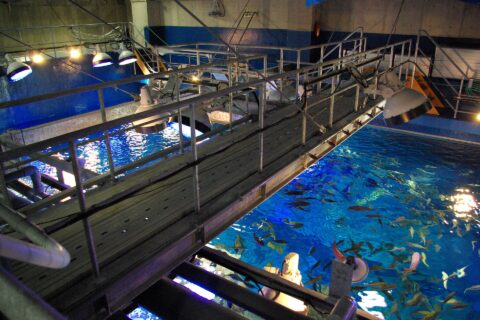 Oga Aquarium GAO