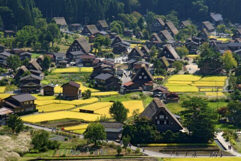 Shirakawa-go (Ogi) in Shirakawa, Gifu prefecture, Japan