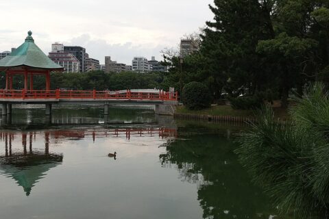 Ohori Park — photo 2