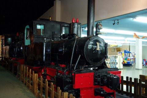 ​大井川鉄道1形蒸気機関車「いずも」 元来は一畑軽便鉄道4号蒸気機関車。その後1929年に住友セメント七尾工場に売却され、用途廃止後に放置されていたものが1974年に発見され、1977年8月に動態復元された。1983年には井川線規格に改造され、1984年には客車を牽引して井川まで乗り入れた。1989年に車籍抹消され、その後は新金谷駅前「プラザロコ」にて静態保存されている。