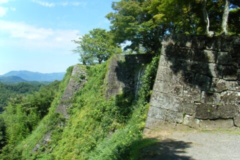 岡城址