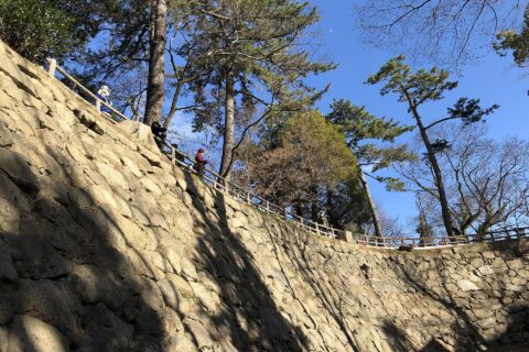 岡崎城の清海堀