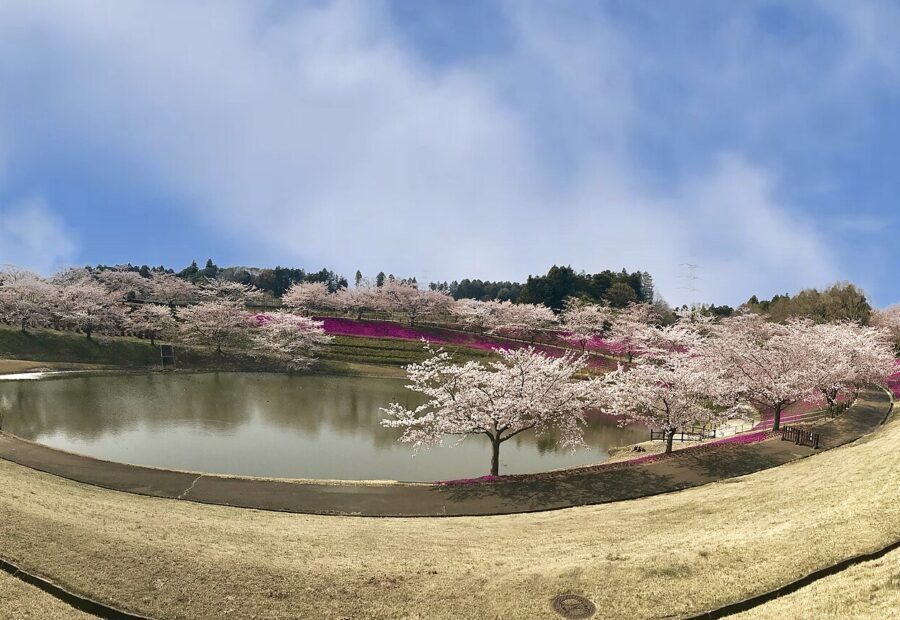 Ushiku Daibutsu, Ibaraki