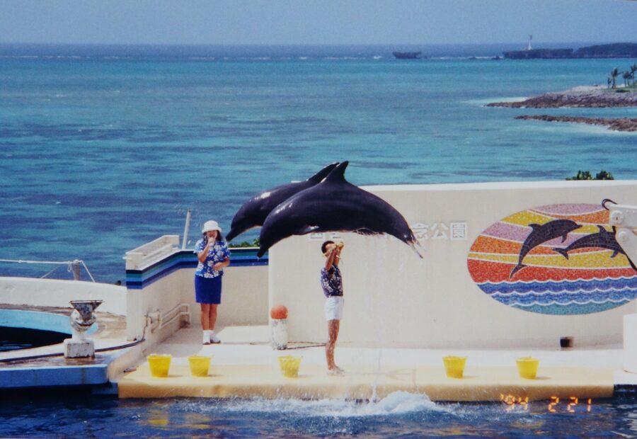 Okinawa Churaumi Aquarium, Okinawa