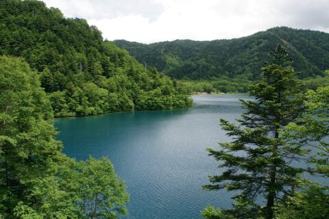 ​大沼池（志賀高原）, 長野県山ノ内町