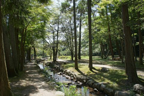 樗谿公園, 鳥取県鳥取市