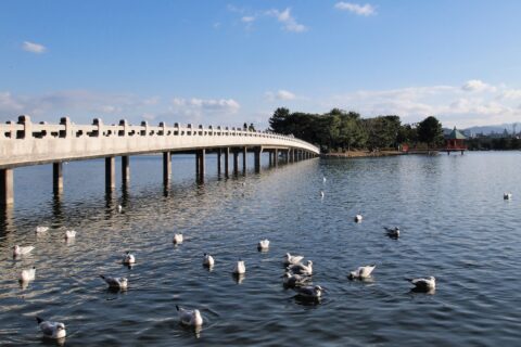 Ohori Park — photo 7