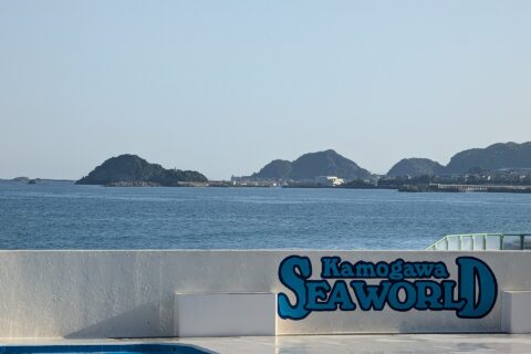 Orca show at Kamogawa Sea World