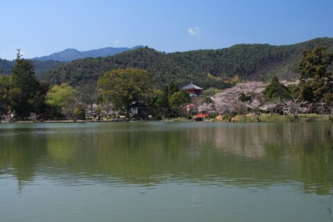 大覚寺 大沢池 京都市/Daikakuji Ōsawa no ike Kyoto,Japan