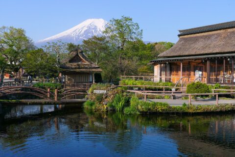 忍野八海にある土産屋前の中池から富士山方向を望む