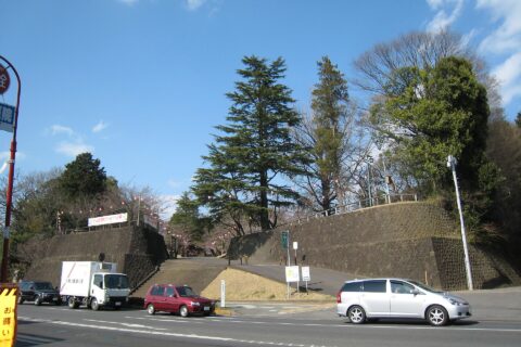 The entrance to Oyama-jo castle #2