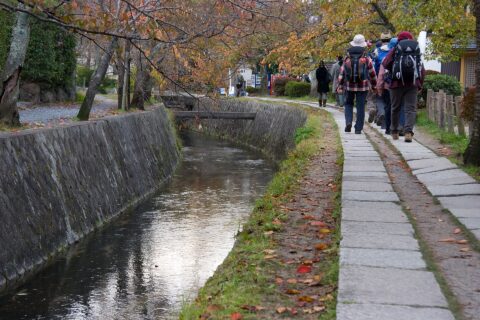 Path of Philosophy