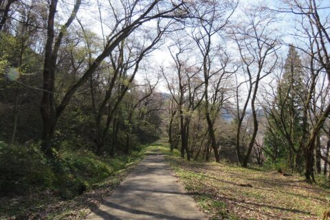 The path to the Kakunodate Castle remains, Japan.