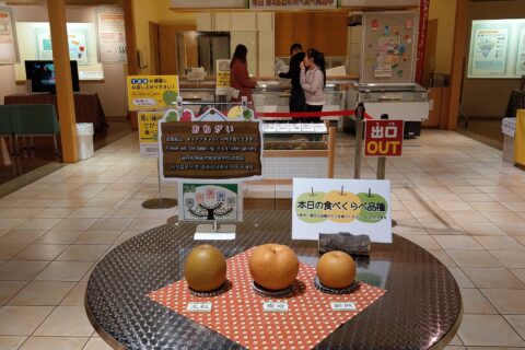 Pear Kitchen Gallery in Tottori Nijisseiki Pear Museum