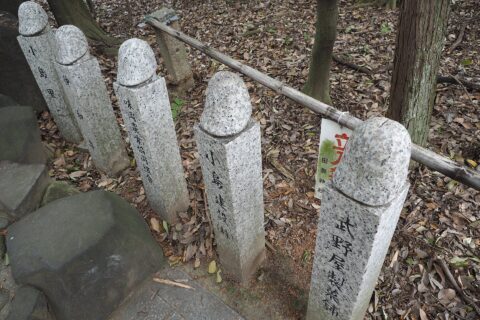 男根形の石柱。愛知県小牧市の田縣神社