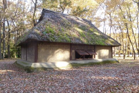 栃木県宇都宮市竹下町にある、飛山城跡の古代竪穴建物。烽子（ほうし=のろしの番人）の詰所だったと考えられている。