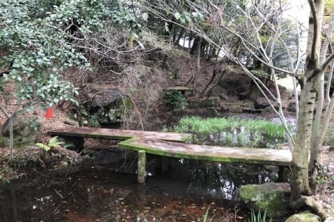 ​山口県立山口博物館の池