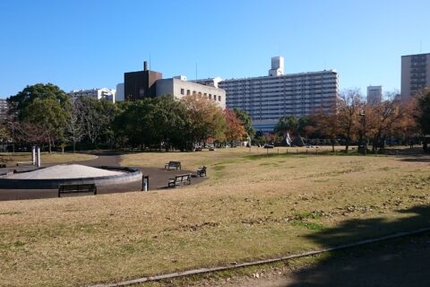 Port Island — photo 4