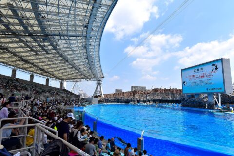 ​名古屋港水族館のメインプール