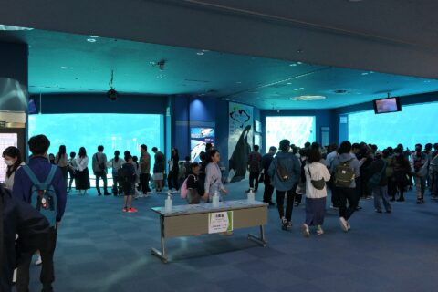 au Port of Nagoya Public Aquarium (Minato-ku, Nagoya)