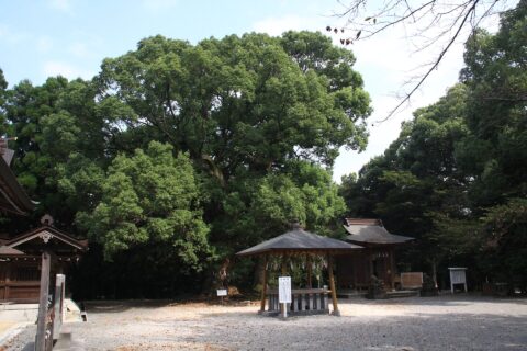 ​千栗八幡宮 境内。中央の建物はお粥堂、右奥には摂社の武雄神社が見える。